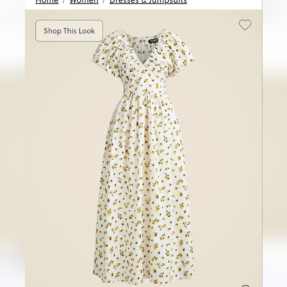 J.Crew Cecily dress in budding rose print Size 12